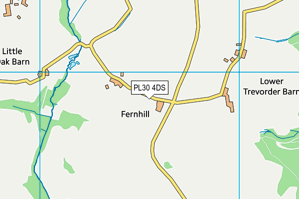PL30 4DS map - OS VectorMap District (Ordnance Survey)