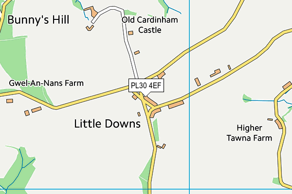 PL30 4EF map - OS VectorMap District (Ordnance Survey)