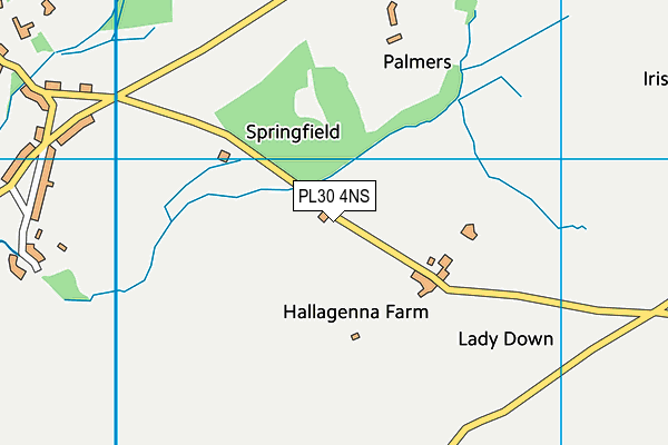 PL30 4NS map - OS VectorMap District (Ordnance Survey)