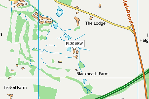 PL30 5BW map - OS VectorMap District (Ordnance Survey)