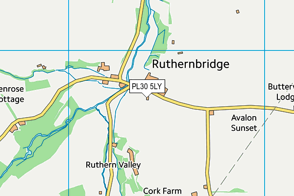 PL30 5LY map - OS VectorMap District (Ordnance Survey)