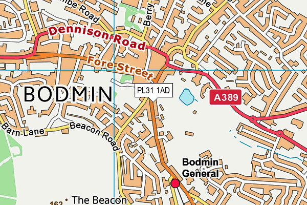 PL31 1AD map - OS VectorMap District (Ordnance Survey)