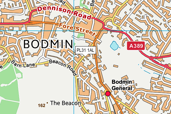 PL31 1AL map - OS VectorMap District (Ordnance Survey)