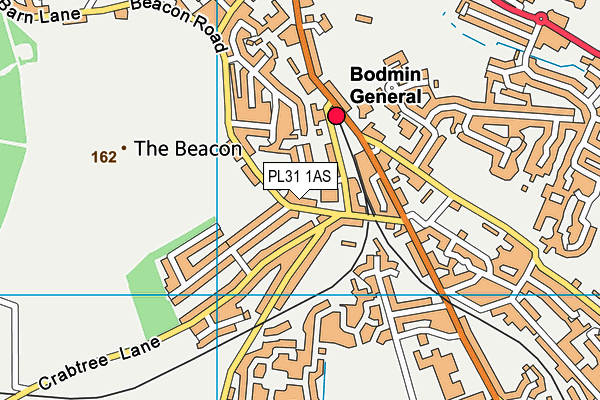 PL31 1AS map - OS VectorMap District (Ordnance Survey)