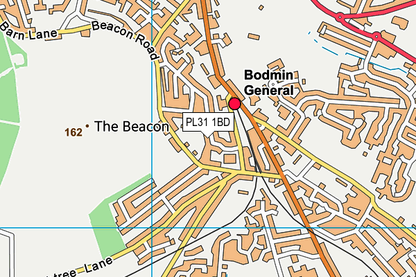 PL31 1BD map - OS VectorMap District (Ordnance Survey)