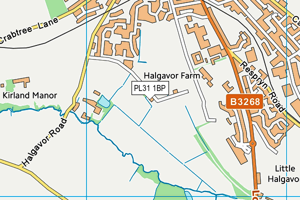 PL31 1BP map - OS VectorMap District (Ordnance Survey)