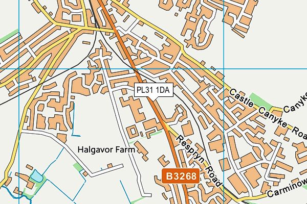 PL31 1DA map - OS VectorMap District (Ordnance Survey)