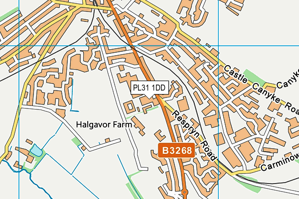 Bodmin College map (PL31 1DD) - OS VectorMap District (Ordnance Survey)