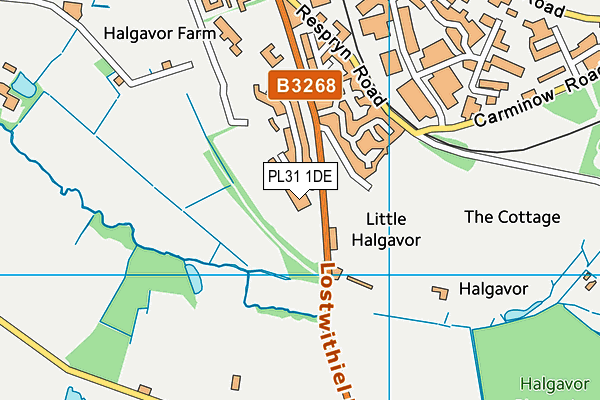 PL31 1DE map - OS VectorMap District (Ordnance Survey)