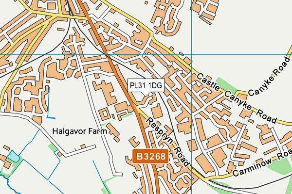 PL31 1DG map - OS VectorMap District (Ordnance Survey)