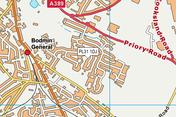 PL31 1DJ map - OS VectorMap District (Ordnance Survey)