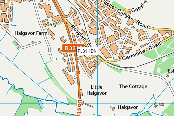 PL31 1DN map - OS VectorMap District (Ordnance Survey)