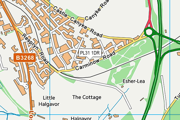 PL31 1DR map - OS VectorMap District (Ordnance Survey)