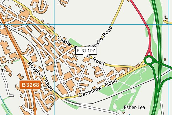 PL31 1DZ map - OS VectorMap District (Ordnance Survey)