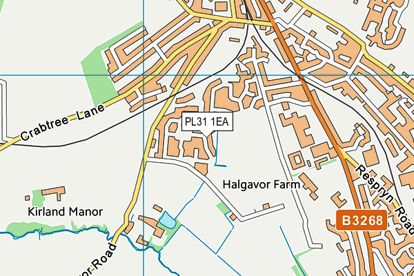 PL31 1EA map - OS VectorMap District (Ordnance Survey)