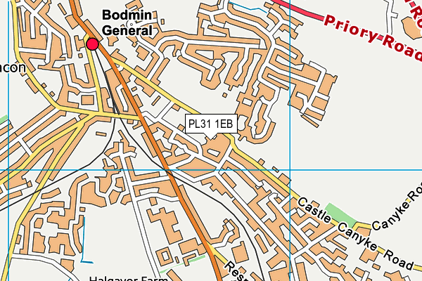 PL31 1EB map - OS VectorMap District (Ordnance Survey)