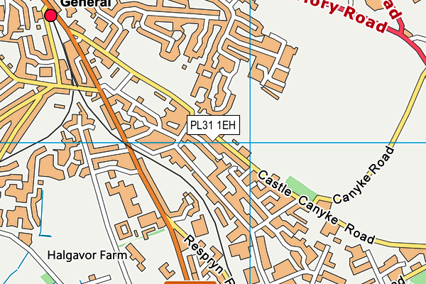 PL31 1EH map - OS VectorMap District (Ordnance Survey)