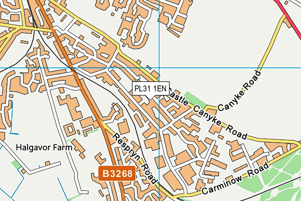 PL31 1EN map - OS VectorMap District (Ordnance Survey)