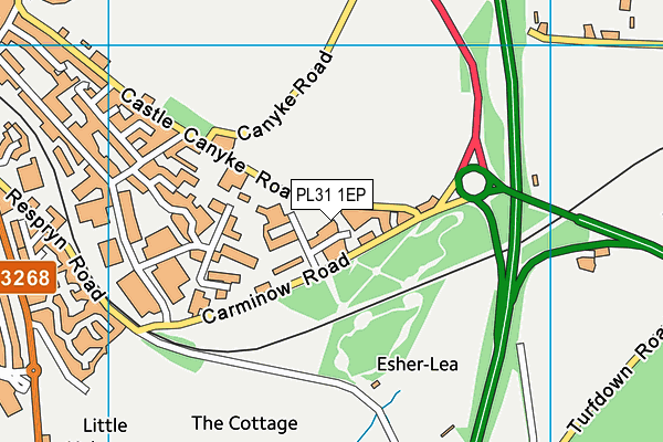 PL31 1EP map - OS VectorMap District (Ordnance Survey)