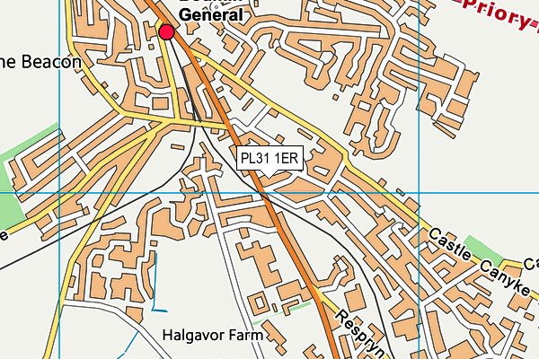 PL31 1ER map - OS VectorMap District (Ordnance Survey)
