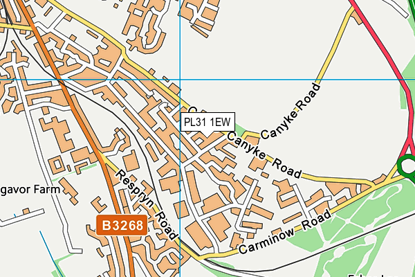 PL31 1EW map - OS VectorMap District (Ordnance Survey)