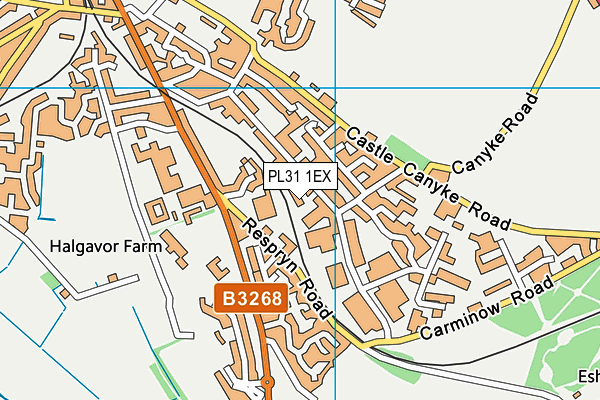 PL31 1EX map - OS VectorMap District (Ordnance Survey)