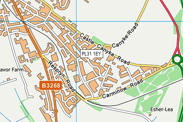 PL31 1EY map - OS VectorMap District (Ordnance Survey)