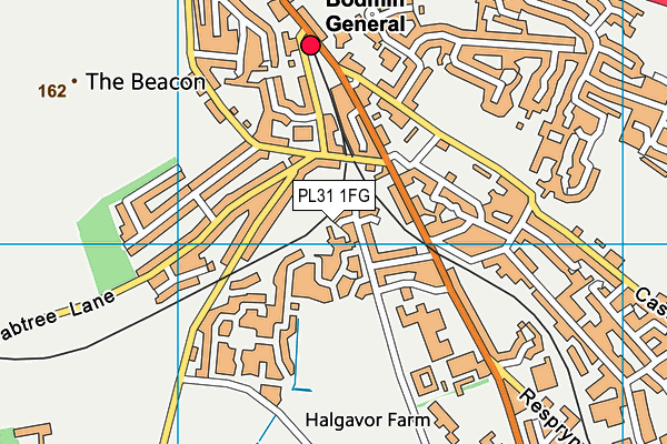 PL31 1FG map - OS VectorMap District (Ordnance Survey)