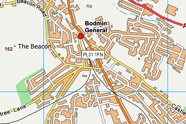 PL31 1FN map - OS VectorMap District (Ordnance Survey)