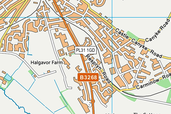 PL31 1GD map - OS VectorMap District (Ordnance Survey)