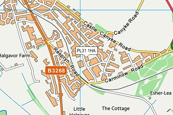 PL31 1HA map - OS VectorMap District (Ordnance Survey)