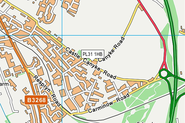 PL31 1HB map - OS VectorMap District (Ordnance Survey)