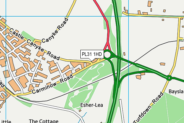 PL31 1HD map - OS VectorMap District (Ordnance Survey)