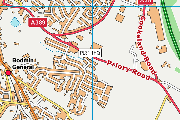 PL31 1HQ map - OS VectorMap District (Ordnance Survey)