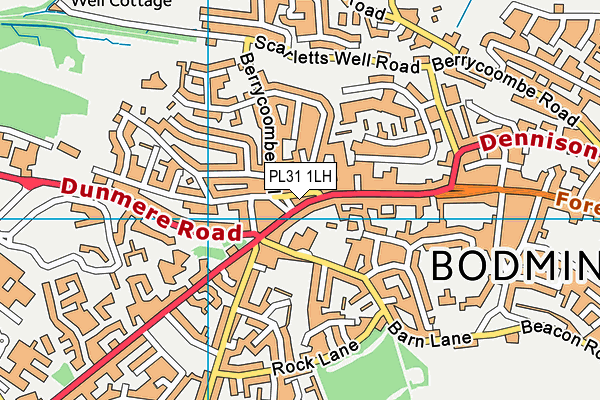 PL31 1LH map - OS VectorMap District (Ordnance Survey)