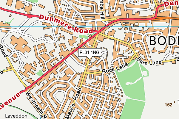 PL31 1NG map - OS VectorMap District (Ordnance Survey)