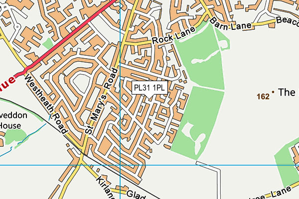 PL31 1PL map - OS VectorMap District (Ordnance Survey)