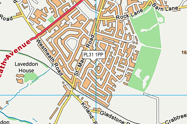 PL31 1PP map - OS VectorMap District (Ordnance Survey)