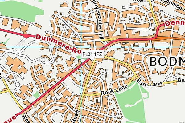 PL31 1PZ map - OS VectorMap District (Ordnance Survey)