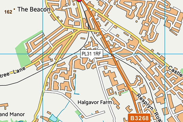PL31 1RF map - OS VectorMap District (Ordnance Survey)