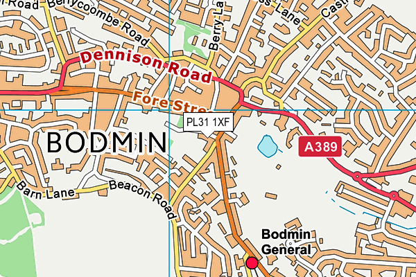 PL31 1XF map - OS VectorMap District (Ordnance Survey)