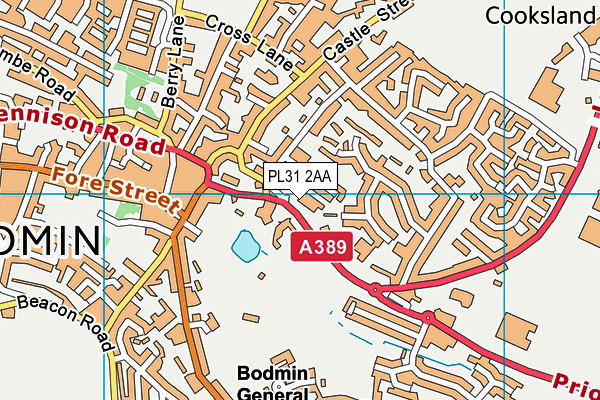 PL31 2AA map - OS VectorMap District (Ordnance Survey)