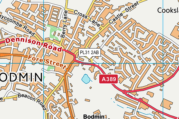 PL31 2AB map - OS VectorMap District (Ordnance Survey)