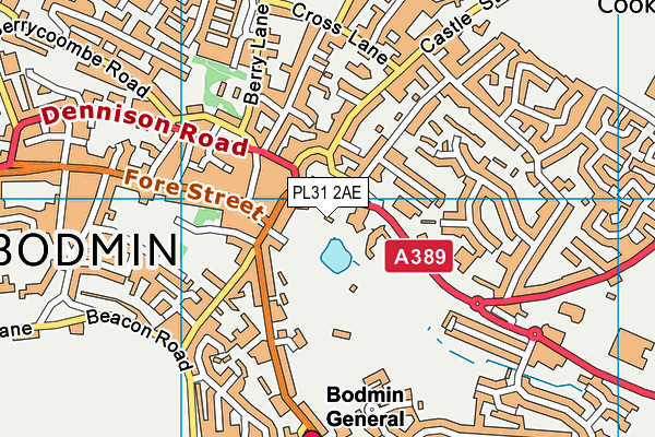 Priory Park (Bodmin) map (PL31 2AE) - OS VectorMap District (Ordnance Survey)