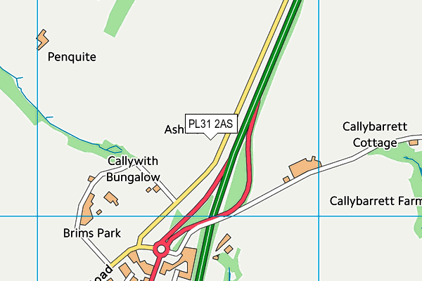 PL31 2AS map - OS VectorMap District (Ordnance Survey)