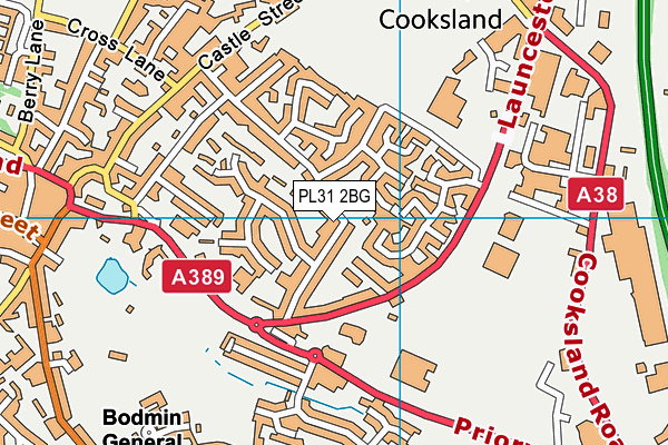 PL31 2BG map - OS VectorMap District (Ordnance Survey)