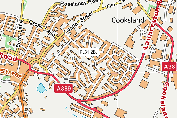 PL31 2BJ map - OS VectorMap District (Ordnance Survey)