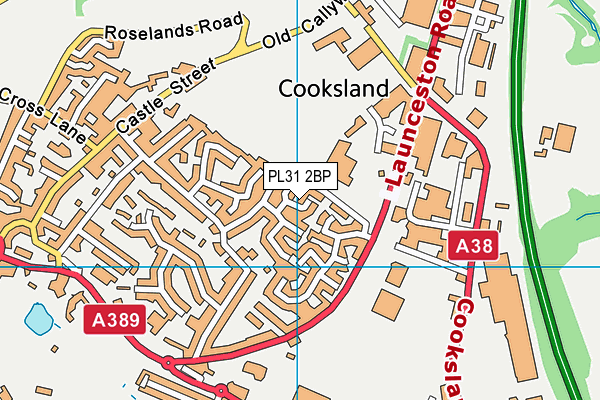 PL31 2BP map - OS VectorMap District (Ordnance Survey)