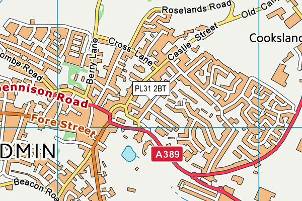 PL31 2BT map - OS VectorMap District (Ordnance Survey)