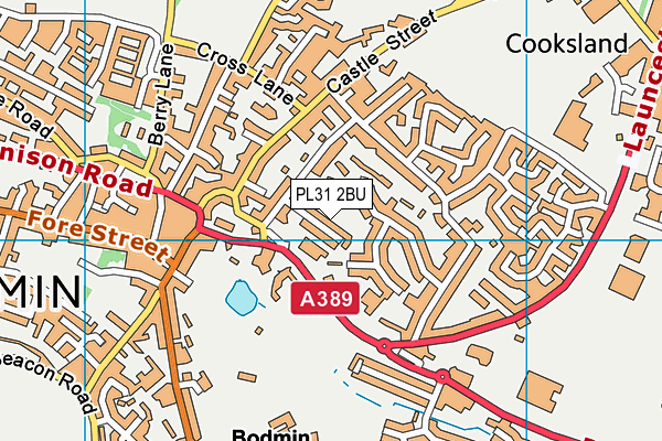 PL31 2BU map - OS VectorMap District (Ordnance Survey)